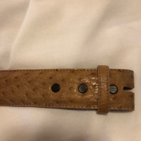 Ostrich Belt - Picture 4 of 8